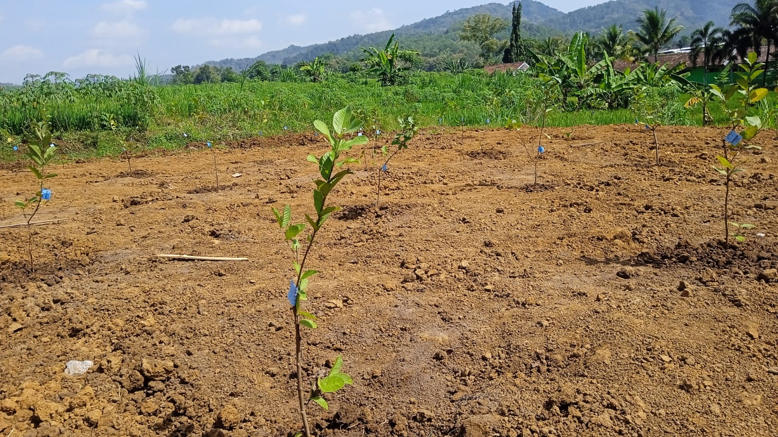 Foto Pembangunan